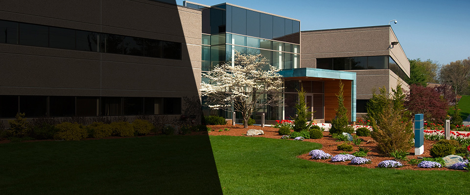 Nolanville Landscapers