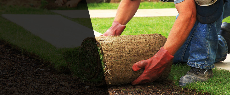 Nolanville Landscapers